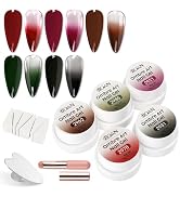 BQAN Ombre Gel Nail Polish Kit, 5 Colors Patting Gradient Painting Gel with Nail Sponge & Silicon...