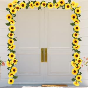 sunflower vines