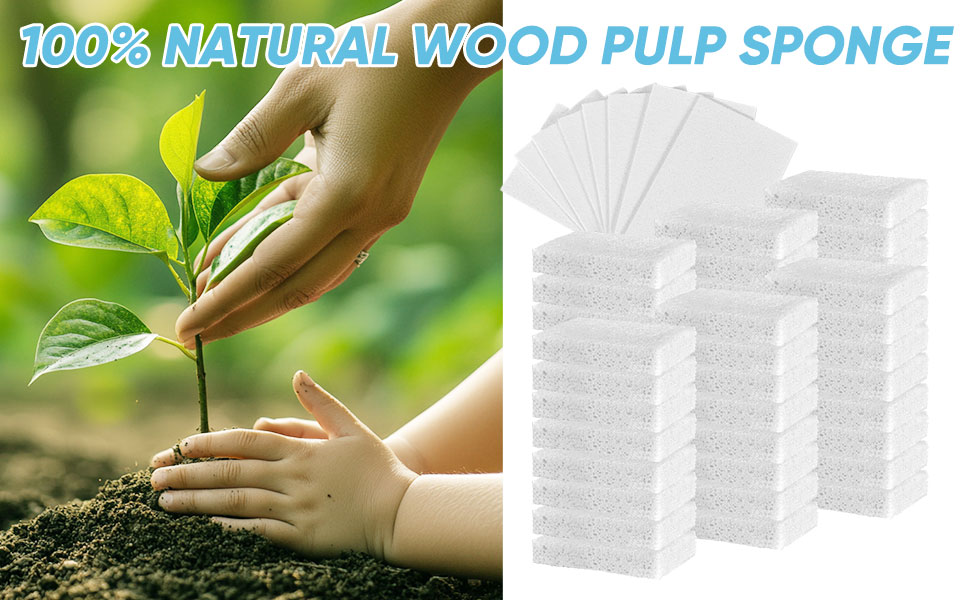 cellulose sponges