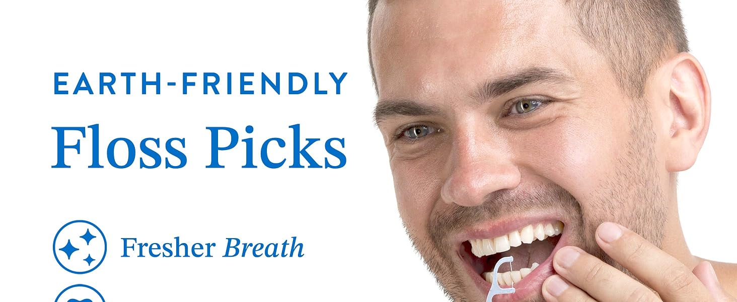 floss picks, dental floss picks reusable floss pick, tooth dental, flossers, straw wheat floss picks