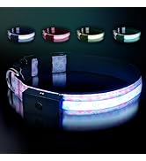 LED Dog Collar - Brightest Light Up Dog Collars - 1,600 Feet of High Visibility - Magnetic Chargi...