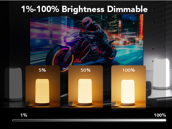 1%-100% Brightness Dimmable
