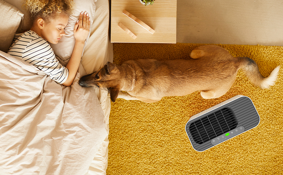 hepa air purifier