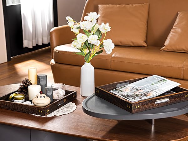 serving tray coffee table decor