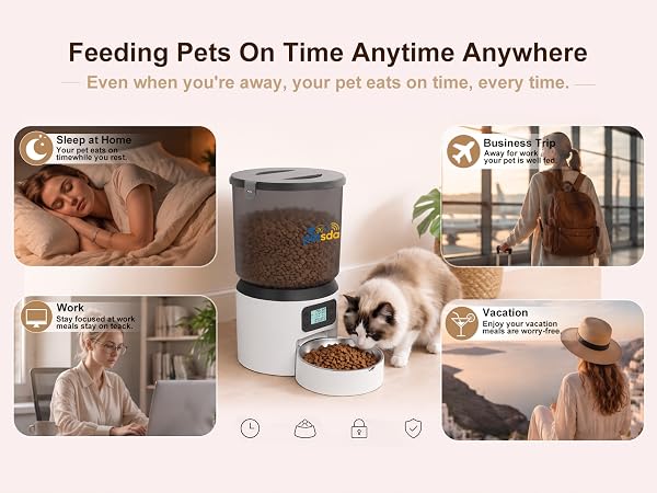 Automatic Cat Feeders, 4L Timed Cat Dry Food Dispenser Auto Pet Feeder Portion Control 9 Meals Day