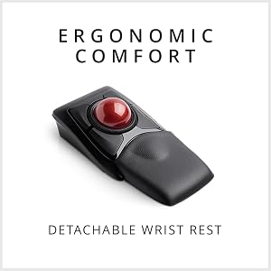 detachable wrist rest