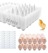 RHBLME 36 Pack Clear Egg Cartons Bulk, Plastic Egg Cartons with Free Labels, Holds up to 24 Eggs,...