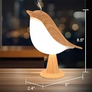 Dimmer Kids Night Light for Bedroom