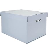 Lineco, Record Storage Carton, Portable File organizer Box with Lid, Fit for Letter/Legal File Fo...