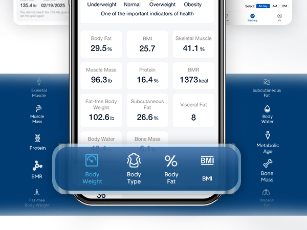 scale for body weight and fat percentage