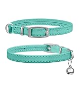 leather cat collar