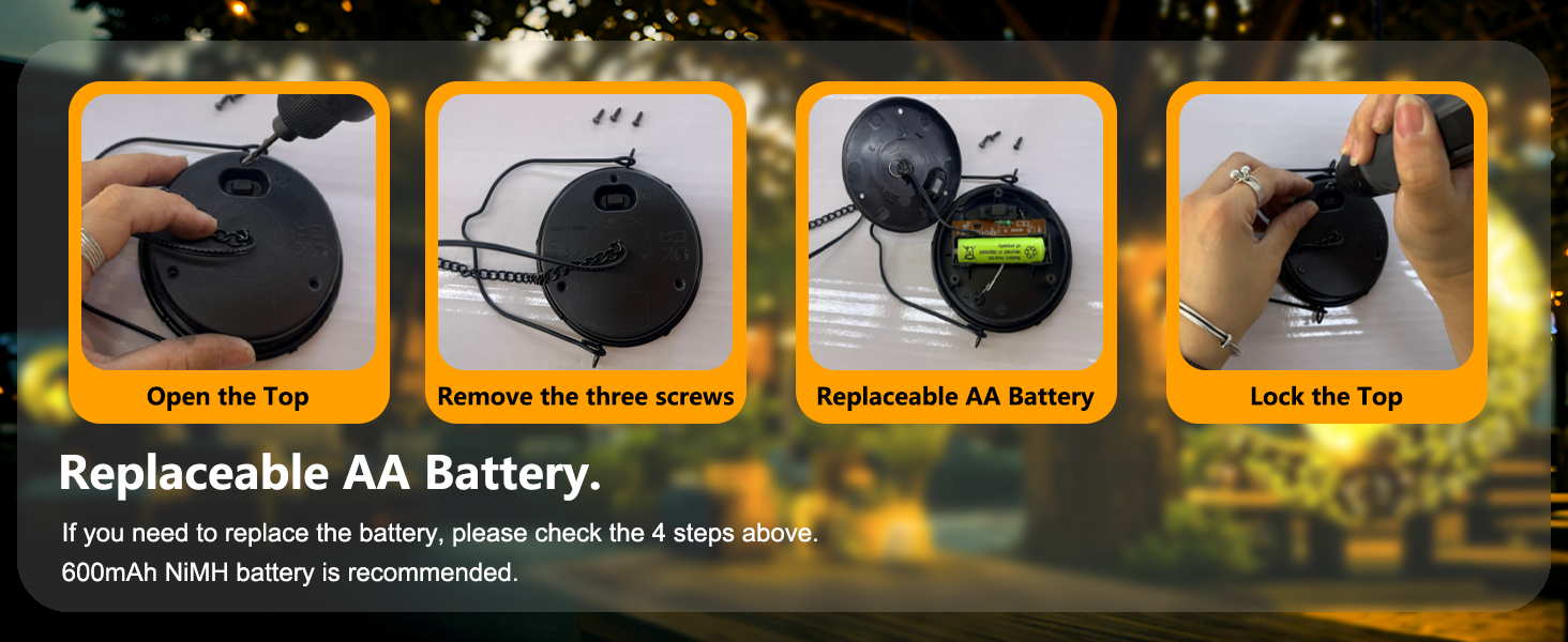 Replaceable AA Battery