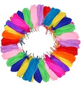 FeelfunFeather 120pcs Mix Colur Goose Feathers Natural Bulk 6-8 inch 15-20cm for Crafts DIY Cospl...