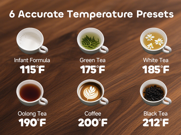electric tea kettle with temperature presets