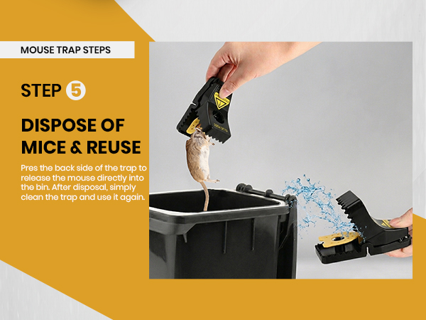 Mouse Traps