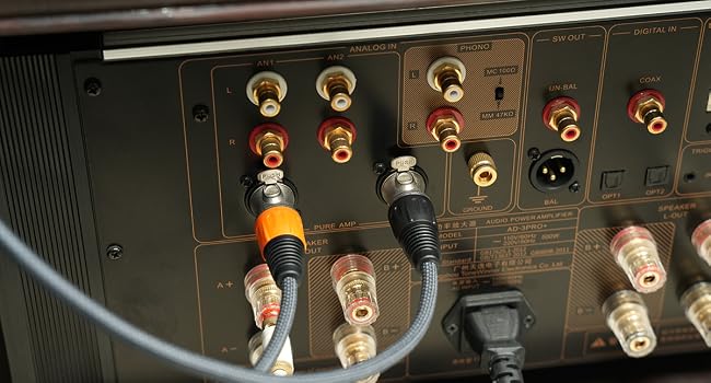 USB C TO XLR MALE