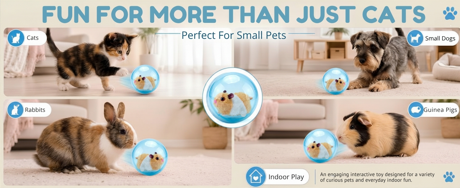 Complete box contents layout of the interactive cat ball toy with screwdriver manual and plush