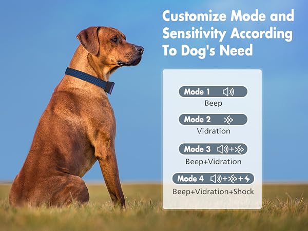 automatic bark collar