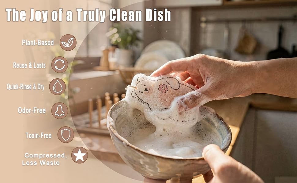 dishwashing sponges
