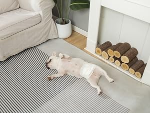 disposable dog diapers male