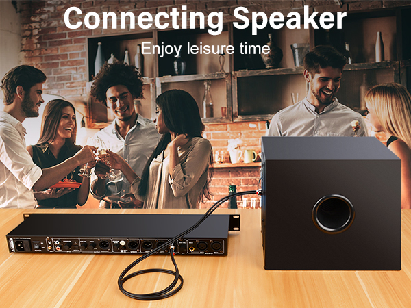 Party,Speaker,Music