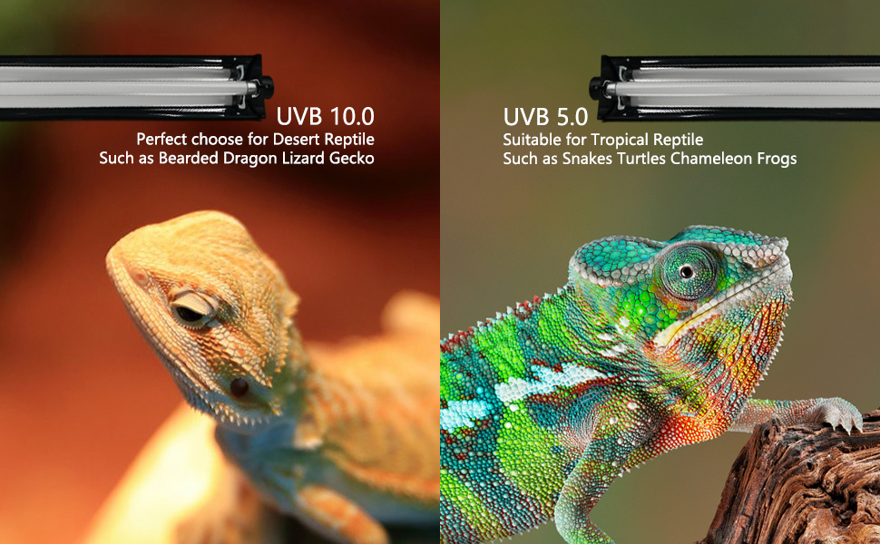 uvb reptile lamp