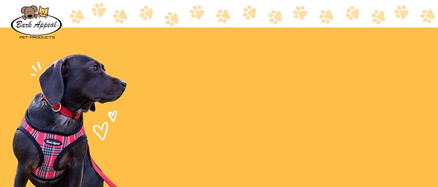 Bark Appeal Brandstory