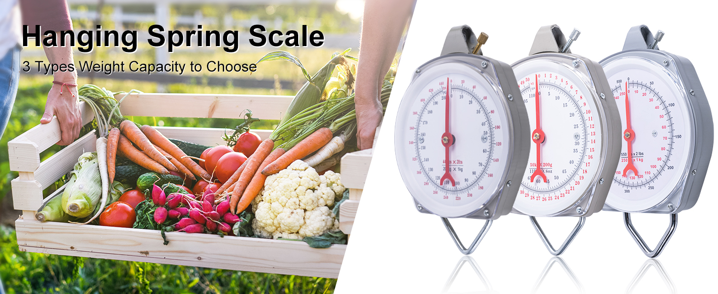 hanging scale