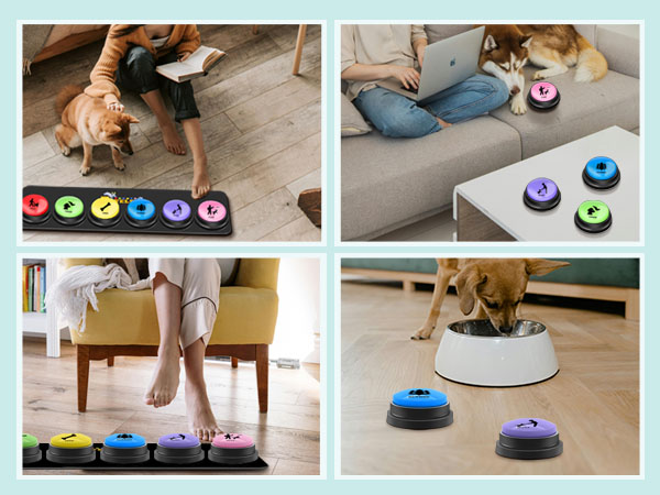 Dog communication buttons