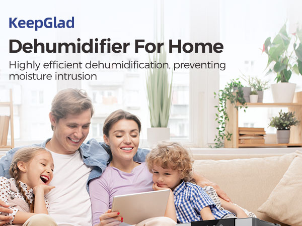 dehumidifier