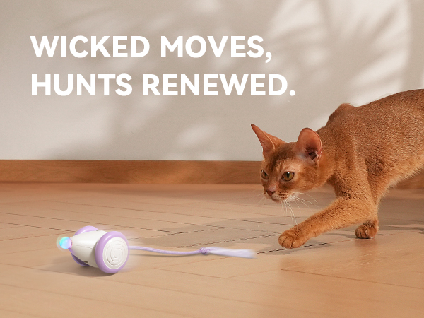 mouse toys for cats