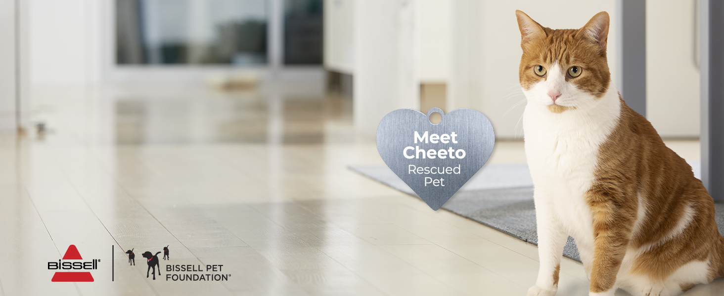 bissell pet foundation