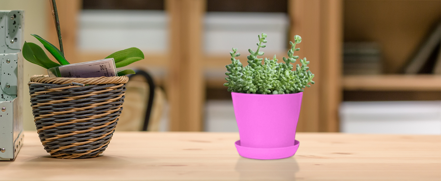 4 inch plastic pots
