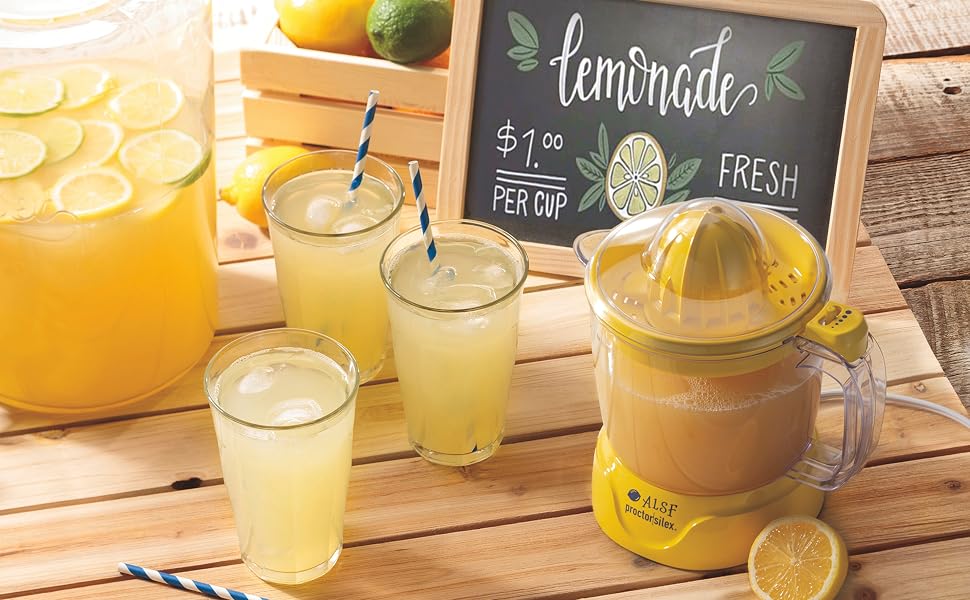 Alex's Lemonade Stand