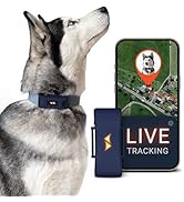 PAJ GPS Dog Tracker - 4G Real-Time Tracking & Runaway Alerts - Waterproof, Long-Range, Smart App ...