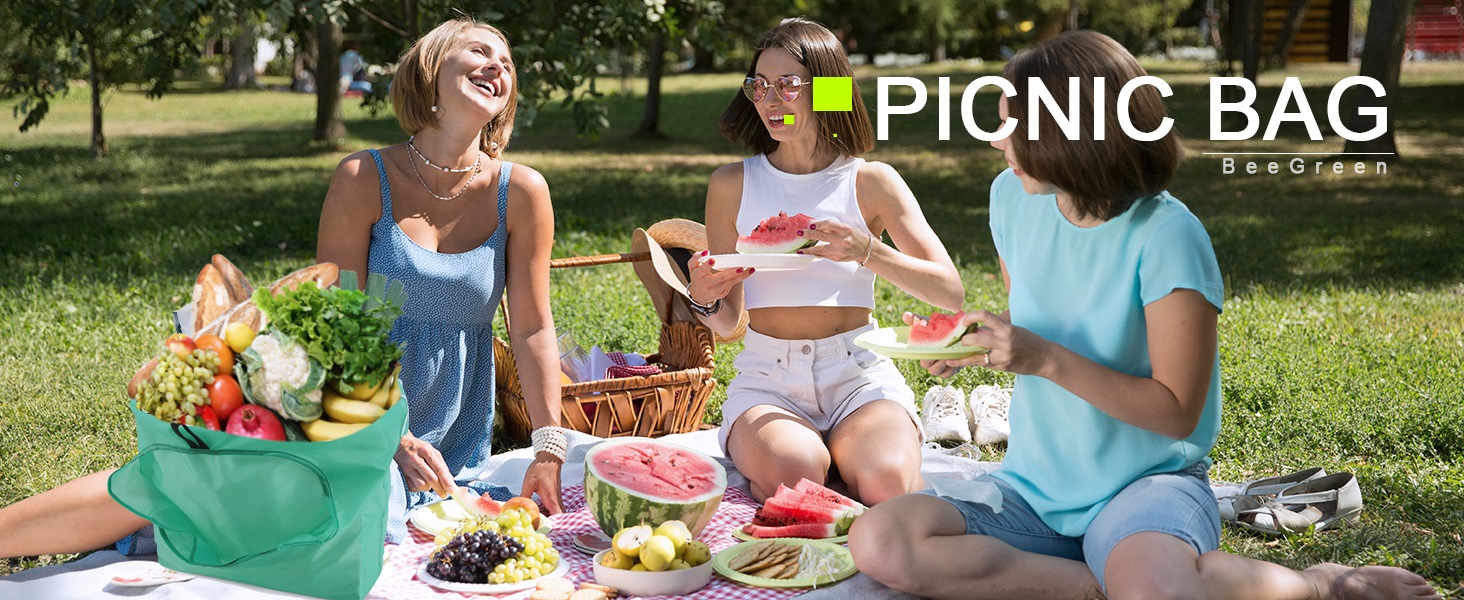 Picnic Bag