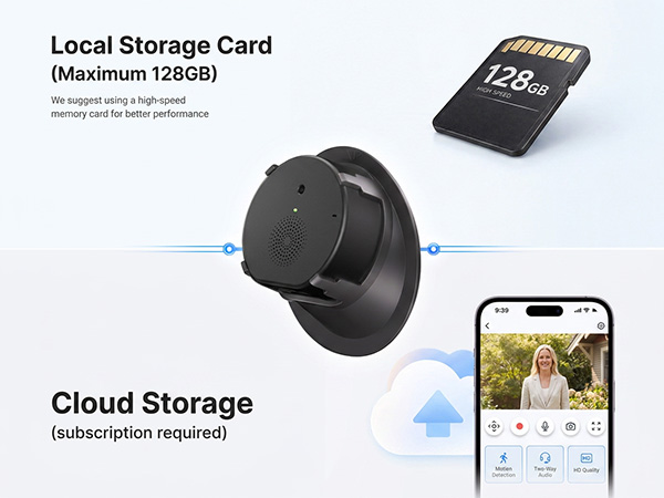 SD/cloud storage