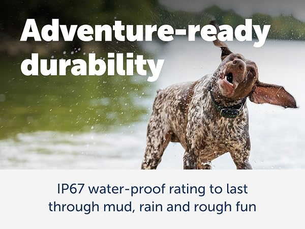 PetSafe Dog Tracker has an IP67 water proof rating