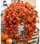 Bougainvillea Artificial Flowers Plants for Outdoor Outside Fall Autumn Decor, 2 pcs Faux Silk Lo...