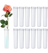 BEADNOVA Floral Water Tubes 2.8 Inch Plastic Water Tubes for Floral Flower Vials with Caps for Fl...