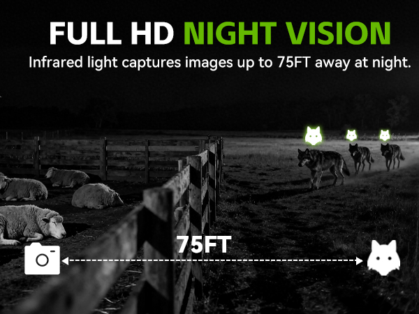 cell cameras for hunting