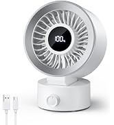 Desk Fan