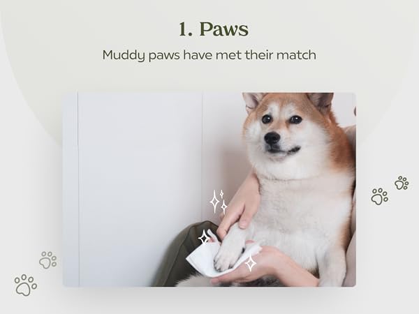 Pet Wipes