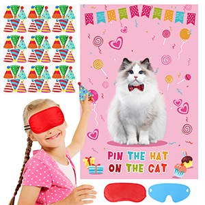 cat birthday party decorations