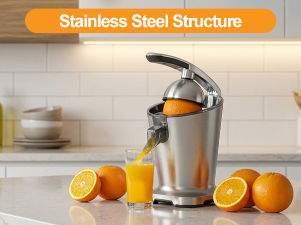 stainless steel electric juicer