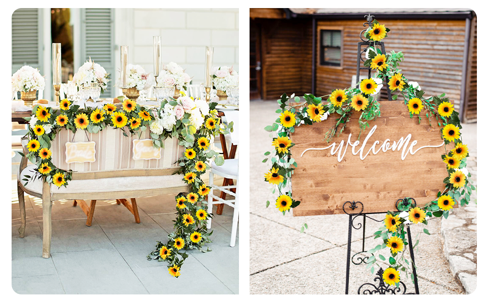sunflowers vines