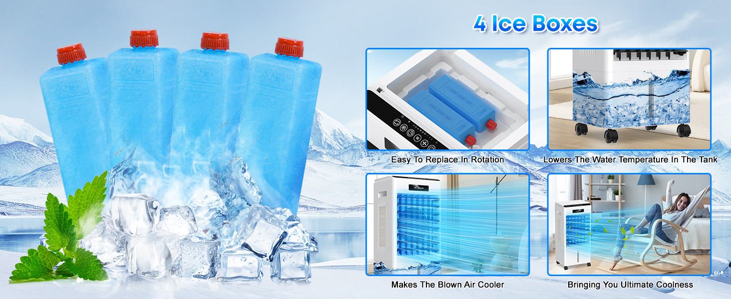 4 lce Boxes