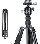 Koolehaoda 70" Camera Tripod with Ball Head and Phone Holder for DSLR | Lightweight Aluminum Trav...