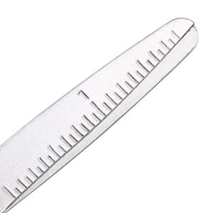 ruler, class scissors, elementary school