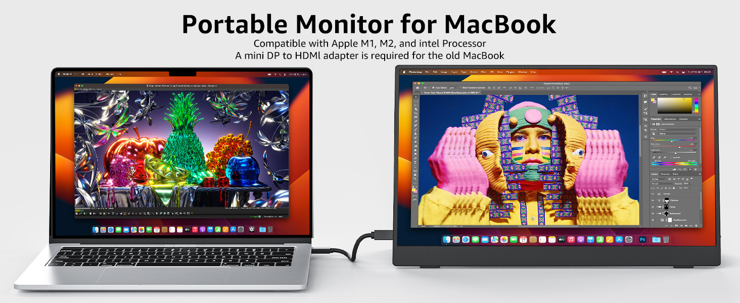 portable monitor